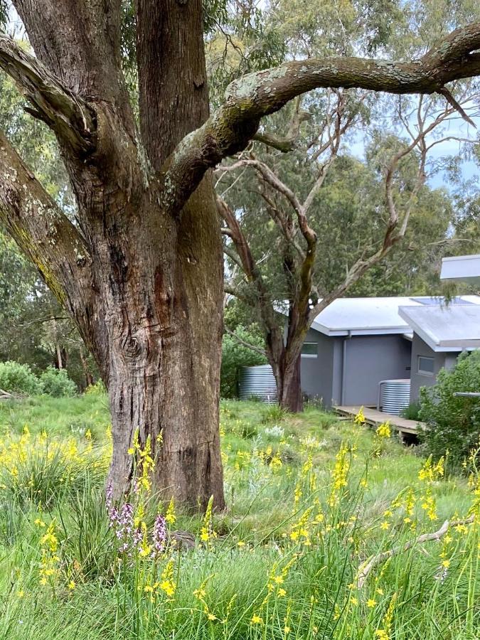 Messmates Luxury Eco Suites Inverloch Exterior foto